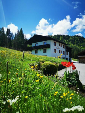 Haus Gamssprung